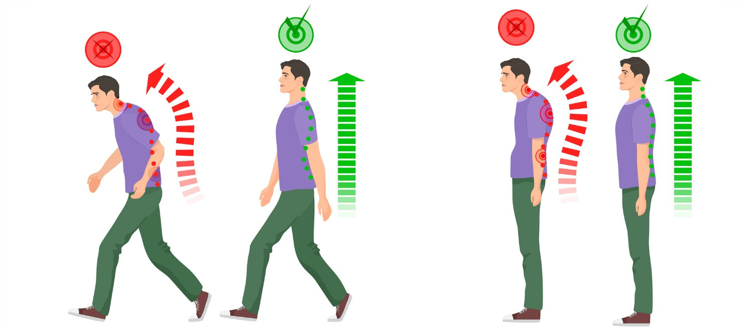How To Maintain Good Posture All Day - Ergo Impact